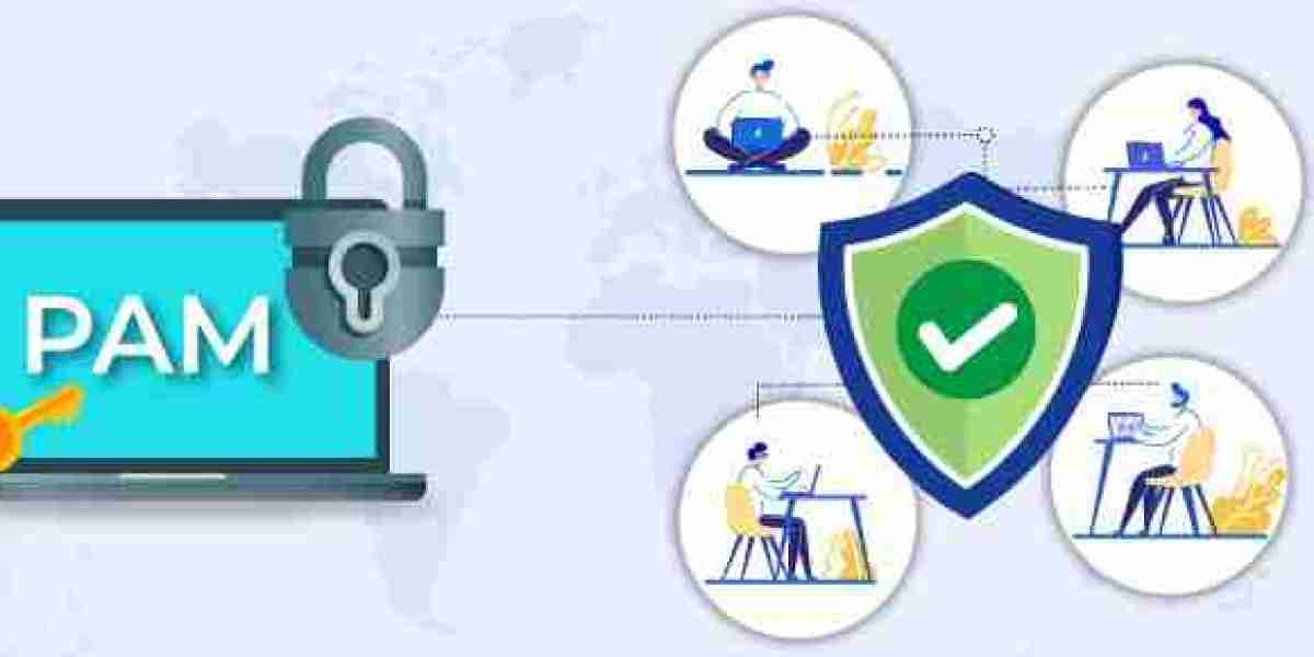 Privileged Access Management (PAM) Solutions: Safeguarding the Digital Frontier
